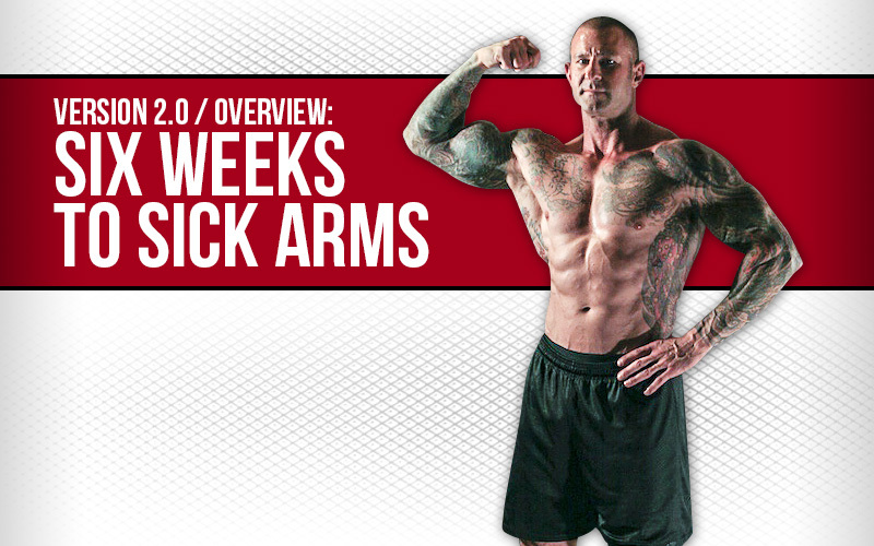 6 weeks to sick arms workout